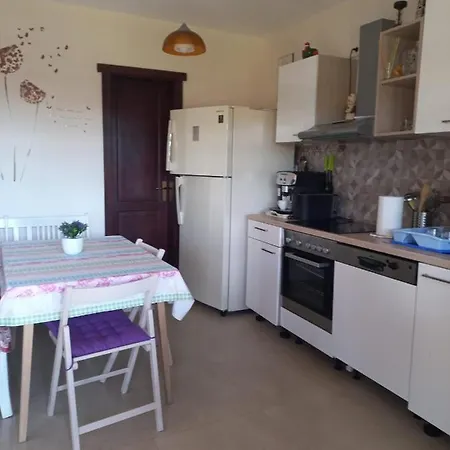 Pensiunea Adicris Guest house *