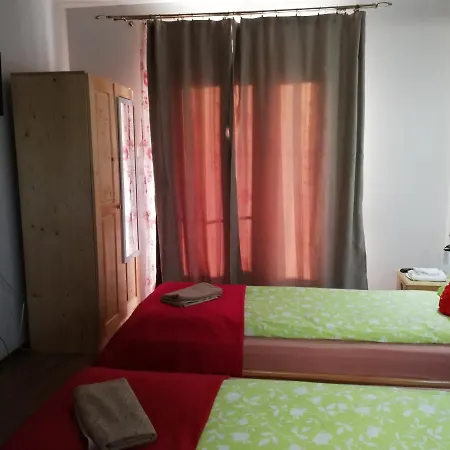 Pensiunea Adicris Guest house *