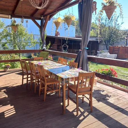 Pensiunea Adicris Guest house