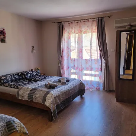 Guest house Pensiunea Adicris Boholt