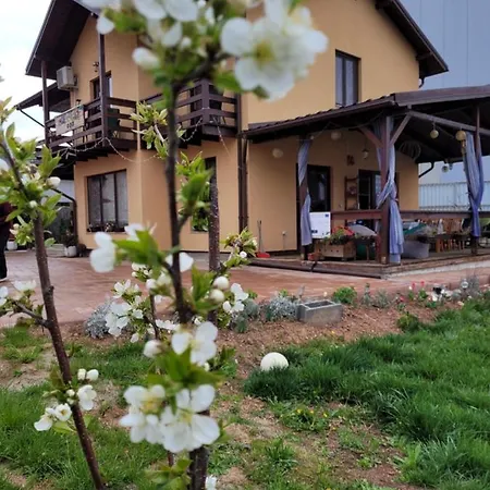 Guest house Pensiunea Adicris Boholt