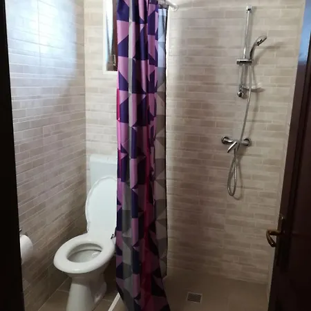 Guest house Pensiunea Adicris Boholt