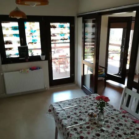 Guest house Pensiunea Adicris *