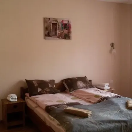 Guest house Pensiunea Adicris *