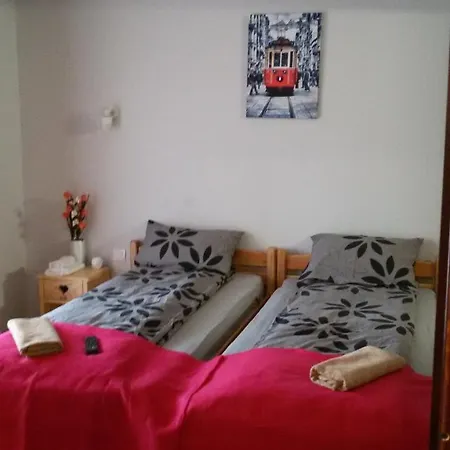 Pensiunea Adicris Guest house Boholt