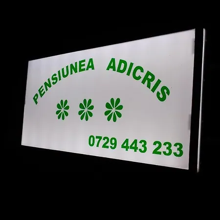 Pensiunea Adicris Guest house