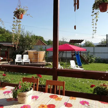 Pensiunea Adicris Guest house Boholt