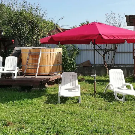 Pensiunea Adicris Guest house Boholt